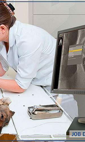 Aparelho de raio x digital	 Aparelho de raio x digital