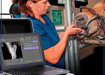 Aparelho de raio x portátil veterinário Aparelho de raio x portátil veterinário