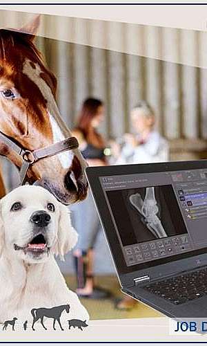 Aparelho de rx portátil digital	 Aparelho de rx portátil digital