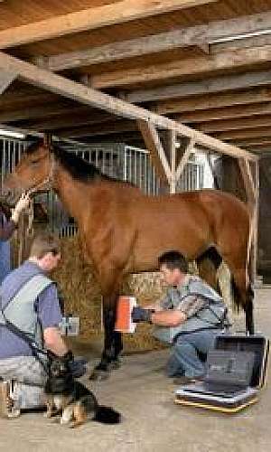 Raio x digital portátil preço	 Raio x digital portátil preço