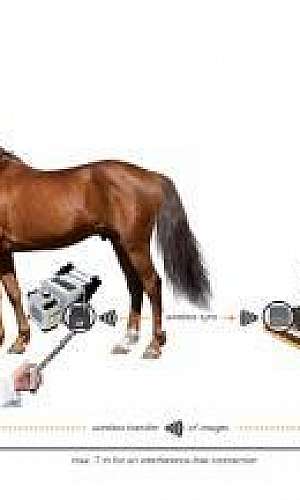 Raio x digital portátil Raio x digital portátil