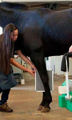 Raio x portátil preço Raio x portátil preço