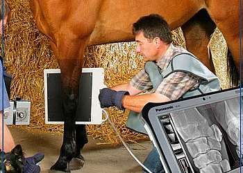 Raio x digital portatil veterinario preço Raio x digital portatil veterinario preço