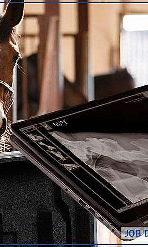 Raios x portátil veterinário	 Raios x portátil veterinário